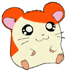 anigif.gif